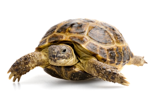 Dealing_with_slow-moving_products